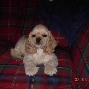 Meet your Posher, Joan